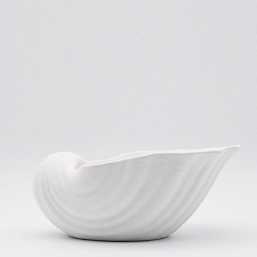 Ceramic Seashell - 10.2"
