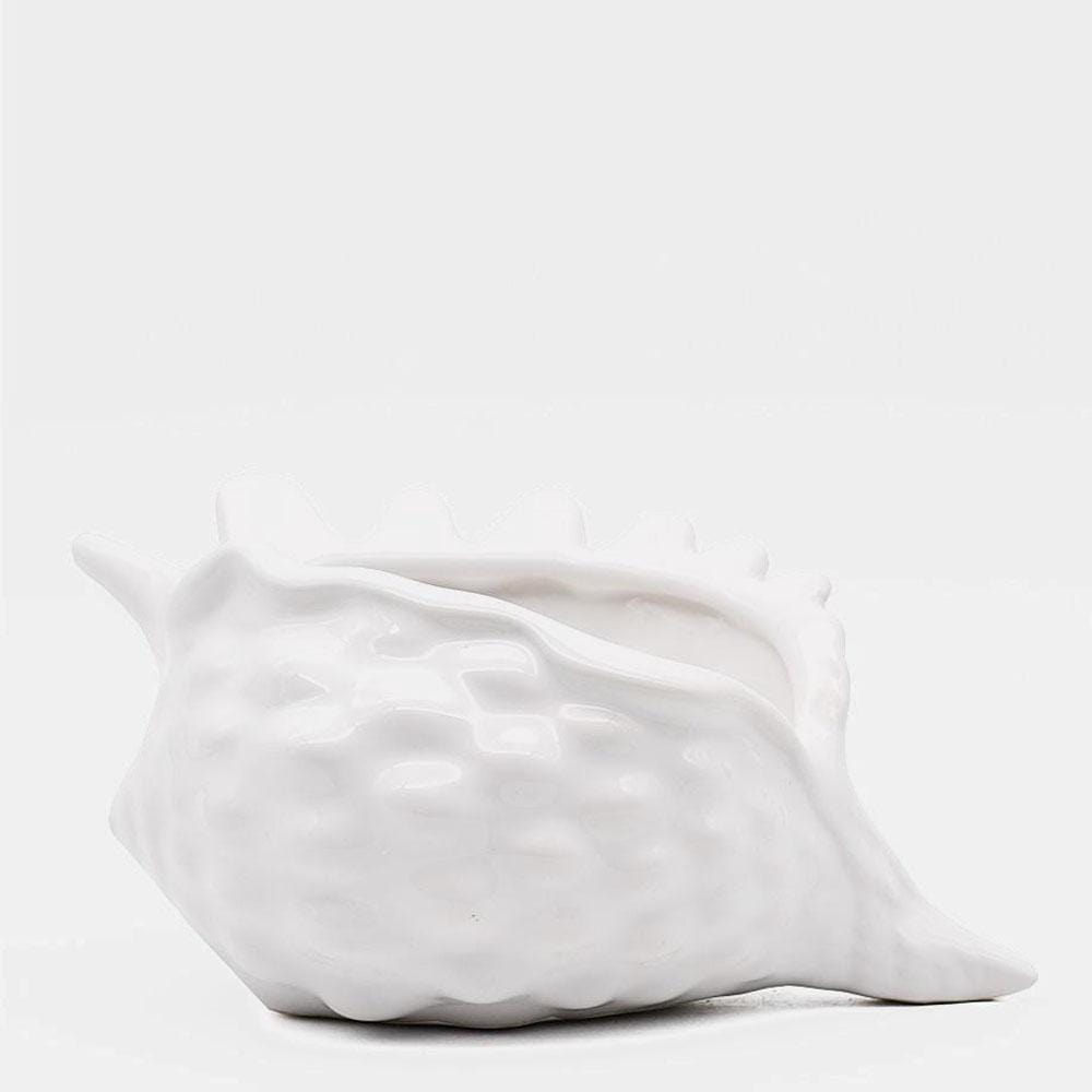 Ceramic Seashell - 5.9"