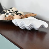 Ceramic Seashell 8.3" - White