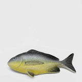 Dourada I Ceramic Fish - Yellow