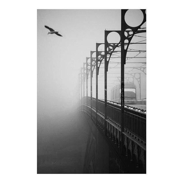 Morning fog#2 I Fine Art Photo by João Cabral