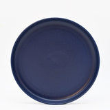 Pacifica I Stoneware Dinner Plate - Blue