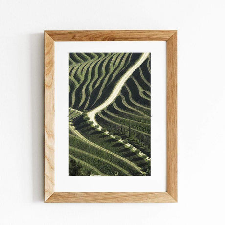 Vineyards I Fine Art Photo by João Cabral