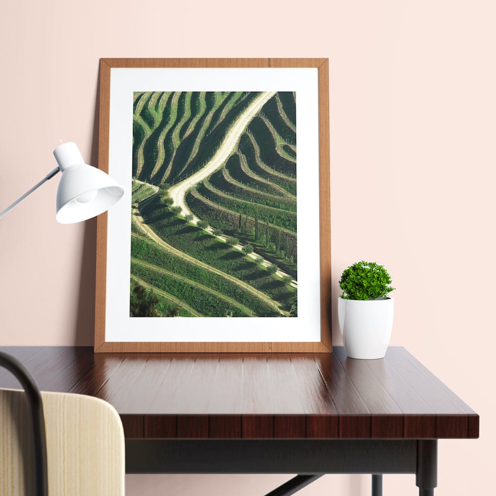 Vineyards I Fine Art Photo by João Cabral